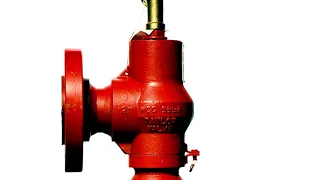 Taylor Relief Valves, An American Success Story