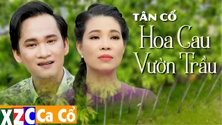 Tân Cổ Hiện Đại HOA CAU VƯỜN TRẦU - CVVC kim Luận ft CVVC Nguyễn Thanh Toàn |  Hay Nhất 2022