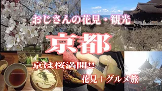 【一人旅】京都は桜満開‼　円山公園、清水寺、八坂神社、知恩院などの見事な桜を見てきました。グルメは錦市場で寿司、祇園四条で老舗うどん他何件かお邪魔しました。