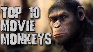 Dark Corners Top Ten Movie Monkeys