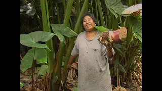 Pohnpei and their Traditional Foods