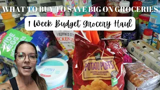 WHAT I BUY FOR CHEAP AT ALDI/LARGE FAMILY GROCERY HAUL ON A BUDGET/DON'T OVERPAY/BONUS WALMART HAUL