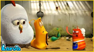 LARVA | PROTECT | CARTOON MOVIE FOR LIFE | THE BEST OF CARTOON | HILARIOUS CARTOON COMPILATION