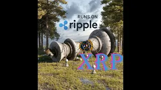 Ripple XRP Истинная ясность будет от правительства