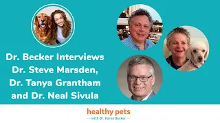 Dr. Becker Interviews Dr. Steve Marsden, Dr. Tanya Grantham and Dr. Neal Sivula