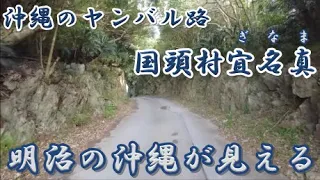 🐱【沖縄でドライブして海見るだけでは勿体無い！明治時代の沖縄が見える「国頭村宜名真」】歴史勉強・沖縄旅行の参考に。（宜名真トンネル・戻る道・茅打バンタ・當山正堅・北国小学校・謝花昇などな）