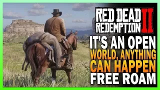 The Road To 100% Completion - Red Dead Redemption 2 Free Roam