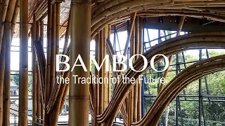 Bamboo--the Tradition of the Future