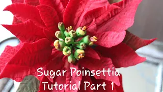 Gumpaste Fondant Sugar Christmas Xmas Poinsettia Flower Tutorial - Part 1  #ediblepoinsettiatutorial