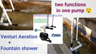 GRAND 6000 VENTURI JET AERATOR PUMP for aeration Biofloc Aquaculture Fish Tank #biofloctank #venturi