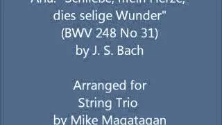 Aria: "Schließe, mein Herze, dies selige Wunder" (BWV 248 No 31) for String Trio