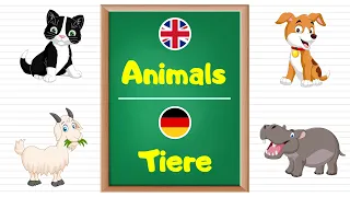 Learn Animals names in German Language for Kids and Beginners.