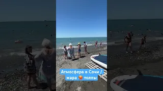 Сочи жара толпы чайка #shorts