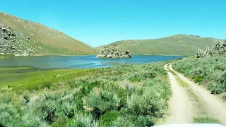 Fly Fishing in the Pine Forest Mountains, Nevada