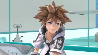 Accidental Sora Voice (Smash Machinima Version)