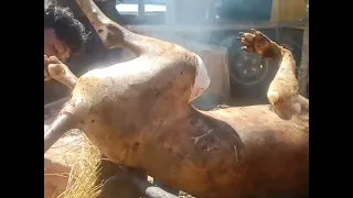 Dog Meat Cutting and Cooking | Dog meat  in Rural Cambodia.