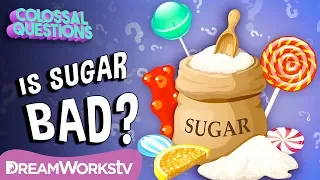 Is Sugar Bad For You? | COLOSSAL QUESTIONS