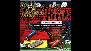 Snoop Dogg - Who Am I  What's My Name Instrumental