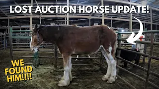 UPDATE: OUR GOAL HAS BEEN REACHED!!!!🎉 2-27-2023 - We Found The Sad Clydesdale Auction Horse!