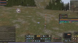 Lineage 2 Classic EU Auto-Hunt Feature Phantom Ranger