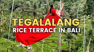 Bali Swing at Tegalalang Rice Terrace Ubud | How to visit the famous Indonesia Bali Swing Rice Field
