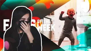 tenderlybae смотрит: Watch Out For That Tree! Fails of the Week (February 2019) | FailArmy