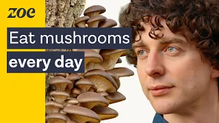 Mushrooms as medicine: Uncovering the health secrets of fungi | Merlin Sheldrake & Prof. Tim Spector