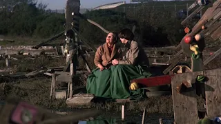 Harold and Maude-Glorious Birds