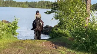 Training Trudi- 3 år trav, galopp, bada Själv i skogen!