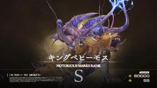 FINAL FANTASY XVI キングベヒーモス　ノーダメージ　TA2：08