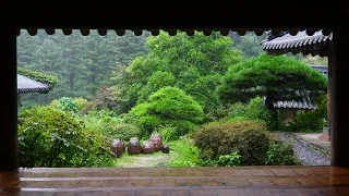 Rain drop sound from rooftop of Hanok, Arboretum of Morning Calm, Rain Sound ASMR.