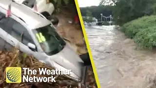 Cars pile up in river after being swept away by flash flood