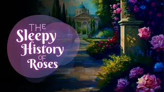 Calm Bedtime Story for Grown Ups | The Sleepy History of Roses | Story with Background Sleep Music