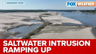 Saltwater Intrusion Ramping Up In Louisiana, New Orleans To See Significant Impacts