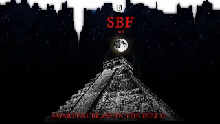 SBF 2:8