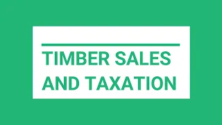 Timber Sales and Taxation