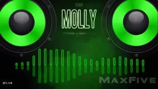 Tyga ft  Wiz Khalifa & Mally Mall   Molly ( BassBoost )