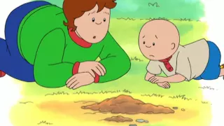 Caillou - Caillou's Getting Older (S01E48)