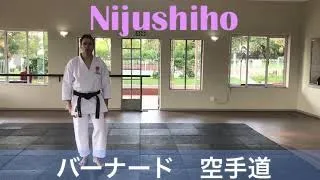 NIJUSHIHO (Step-by-Step)