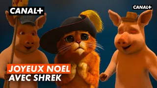 SPECIAL NOËL - Le Noël de Shrek - CANAL+kids