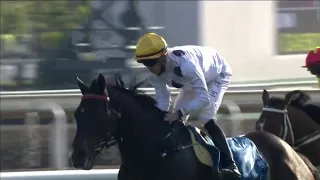 Golden Sixty is BACK to his brilliant best in the Stewards' Cup at Sha Tin! 🤩