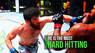 The Dagestani Knockout Master Of The UFC - Magomed Ankalaev