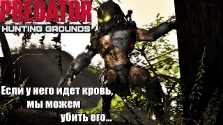 Predator Hunting Grounds🔺НОВЫЕ БИЛДЫ🔥НОЧНАЯ ОХОТА!  ПАТЧ - 1.09!