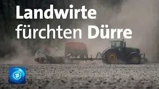 Wegen anhaltender Trockenheit: Dürre und Waldbrände drohen