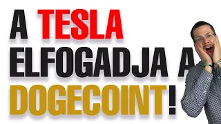 DOGE elfogadás a Tesla-nál