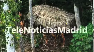 Contactar con las tribus aisladas del Amazonas es el único modo de salvarlas