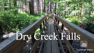 Dry Creek Falls via the PCT South bear Cascade Locks, OR