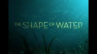 The Shape of Water 2017 - Main Theme / Soundtrack ( created by Fyrosand / feat. DaisyMeadow )