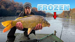 Caught My Biggest Carp in a Frozen Lake