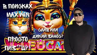 В ПОИСКАХ MAX WIN. CLEOCATRA. 50x50 с подписчиком.